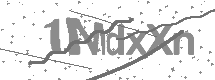 visual captcha
